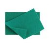 caterers scourer 9x6 Green Contico.net